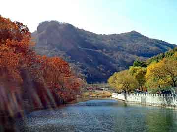 最新旅游新闻