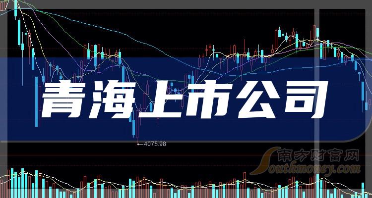 青海上市公司的现状、挑战与机遇探索